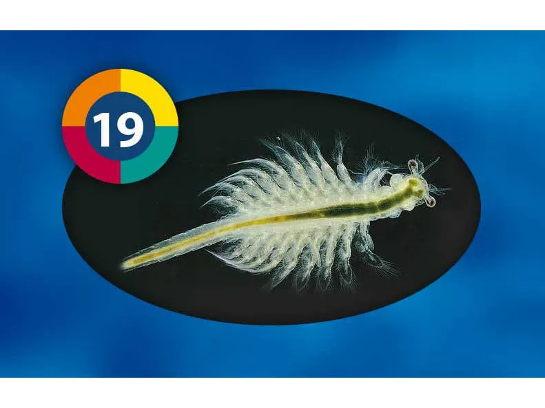 3F- Artemia 100g Blister