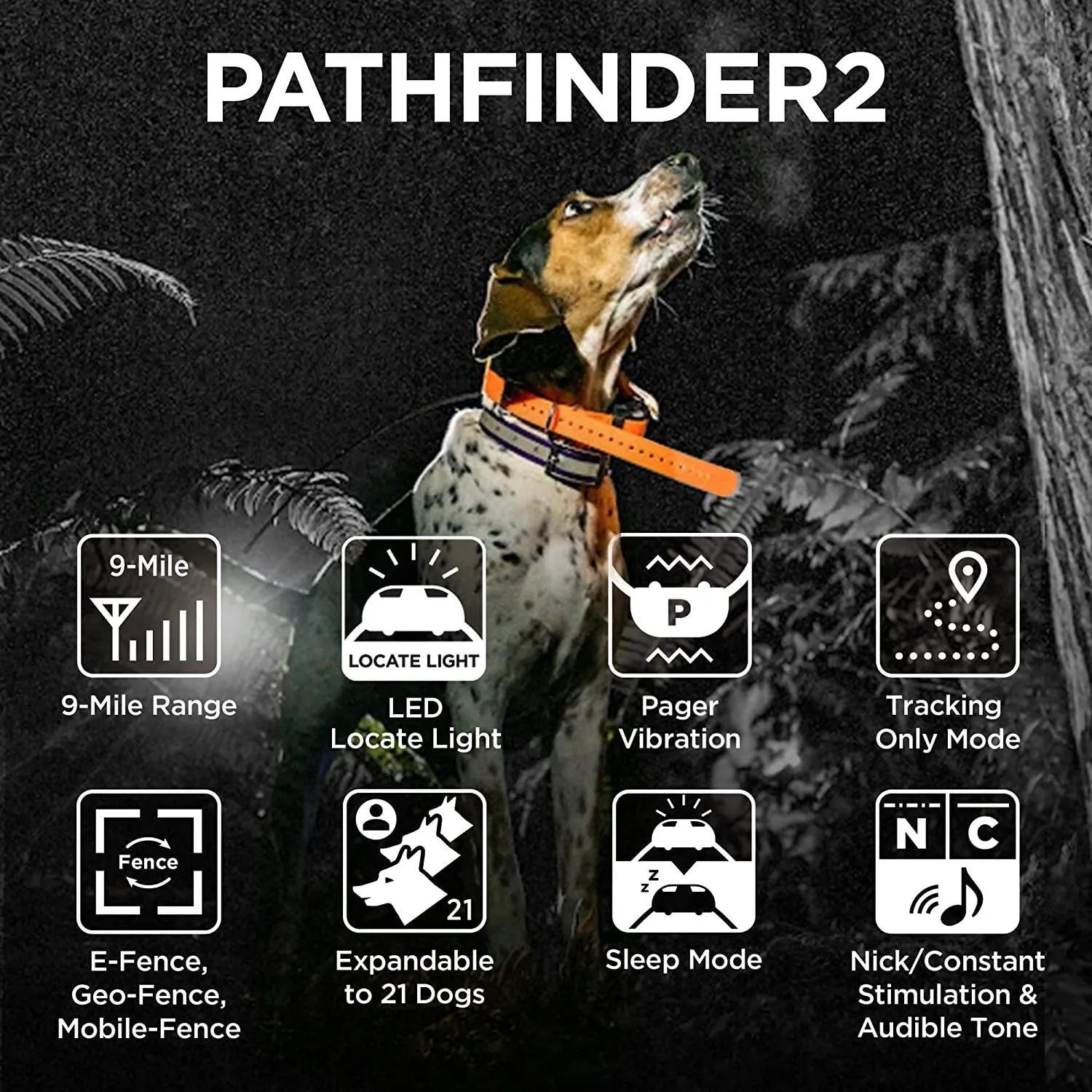 Dogtra Pathfinder 2 GPS Dog Tracker Collar - Blue