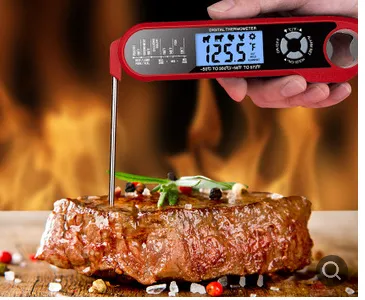 Double Probe Smart Oven Electronic Barbecue Thermometer Foldable Waterproof Household Food Cooking Thermometer