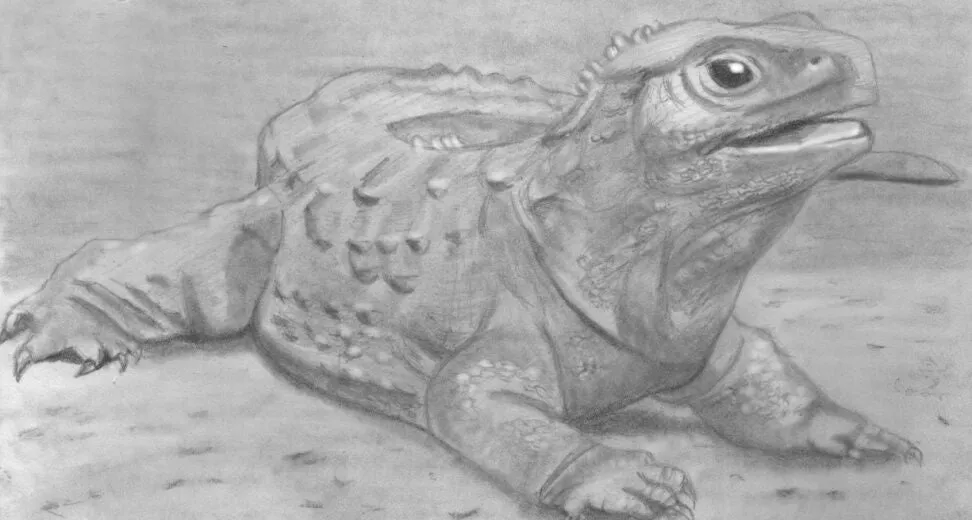 Learn How to Draw Reptiles in Pencil For the Absolute Beginner