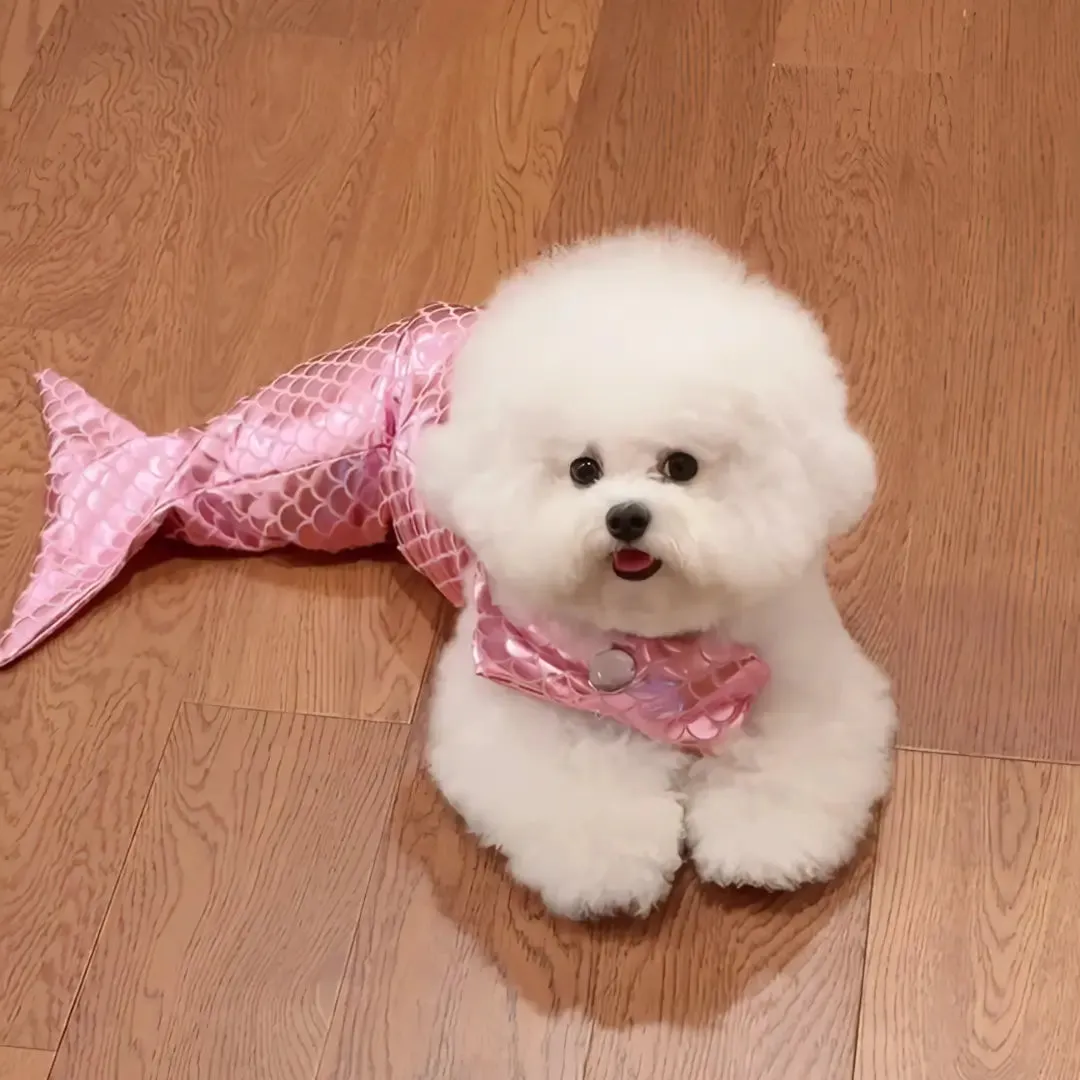 Sparkling Bikini Mermaid Pet Costume