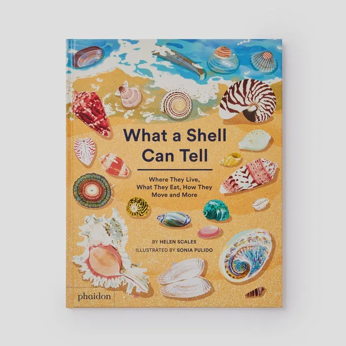 What A Shell Can Tell